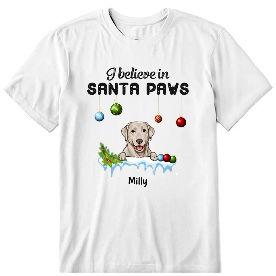 I Believe In Santa Paws Shiba Inu Gift T-Shirt I Believe In Santa Paws Shiba Inu Gift T-Shirt