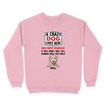 standardcrewneckfrontlightpink1616617935836